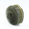 2.1*35mm 16 Degree Galvanized Steel Welded Coil Screw Nails for Pallet Containers