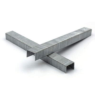 21gauge Fine Crown Air Staple Pneumatic Staple 8006 Grapa with 1 Piece Minimum Order