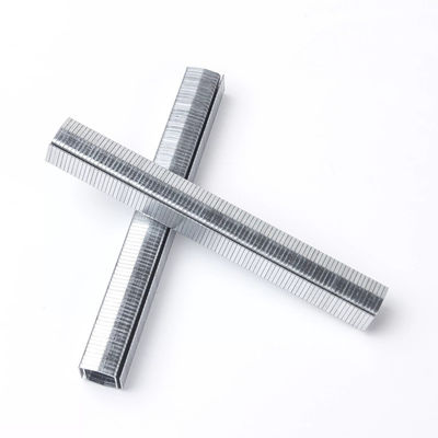 Stcr5019 Series 20 Gauge 11.60mm Crown 12mm Furniture Staple for Precise and Stapling