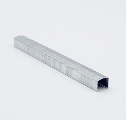 Stcr5019 Series 20 Gauge 11.50mm Crown 10mm Furniture Staple Pin for Your Benefit
