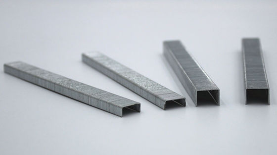 21gauge 5/8&quot; Fine Crown Pneumatic Staple 8016 for Furniture Decoration U-Type Nail