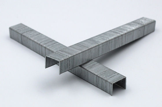 Steel Pneumatic Staple 3/8 Crown 10mm 80 Series 8010 for Durable Furniture Decoration