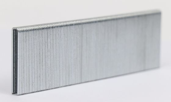 Staple Pneumatic Staple 16 Guage 1/2&quot; Medium Crown for Your Benefit Gn32
